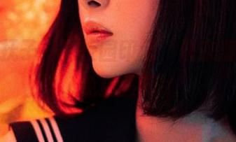 “河豚抚子”的校园印记,快来翻翻这本免费图册