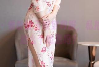 秀人网 - 看盼盼玉奴穿和服,私拍不就是这么个意思吗?
